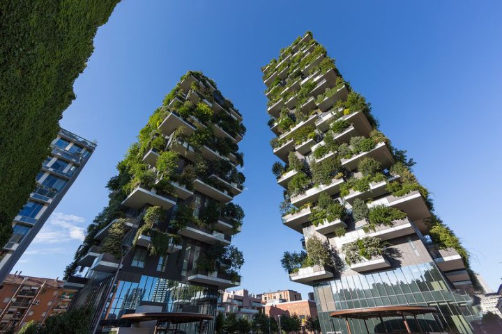 High-rise forests in Italy are fighting air pollution